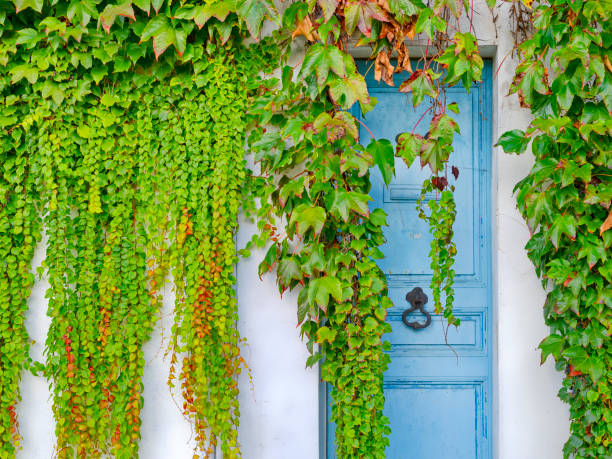 istock Paris France 2153889844
