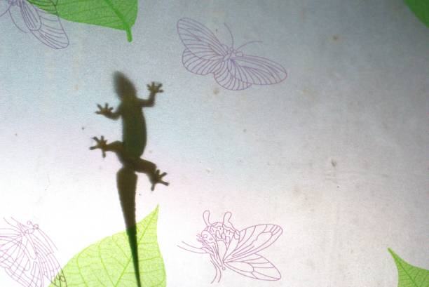 Silhouette of a lizard climbing on the window with a floral theme and copy space area