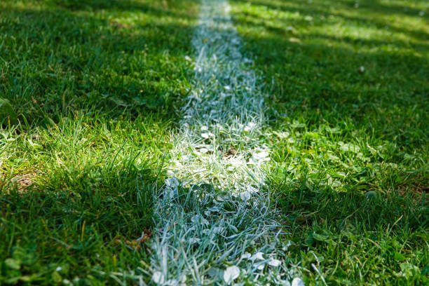 white stripe on a football field close-up