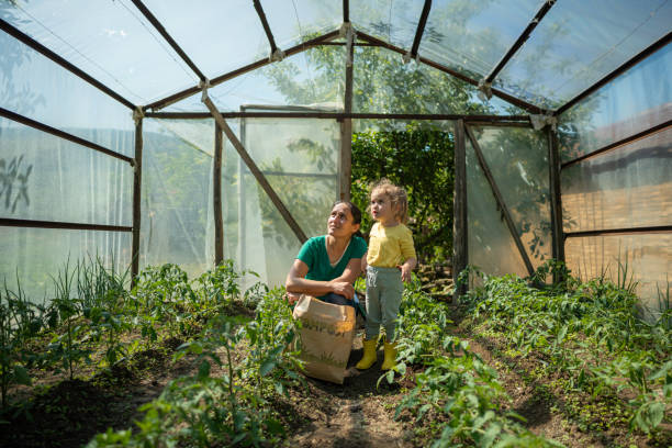 istock Girl Gardening with Mom Using Compost. 2153907272