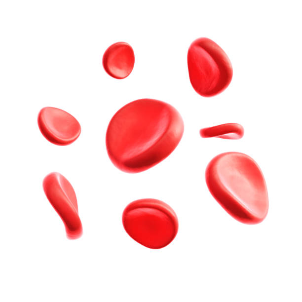 istock Red blood cell isolated on white background 2153908692