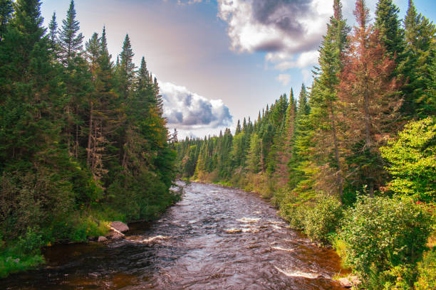 istock River and Trees in Autumn 2153911899
