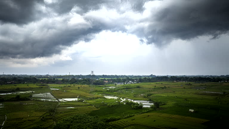 Hyperlapse timelapse of clouds moving over green rice fields in Balinese countryside, Indonesia. Aerial sideways