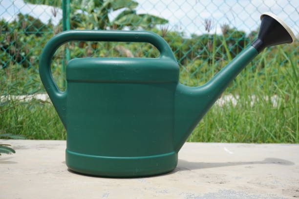 istock A green watering can sits on a concrete surface 2153915675