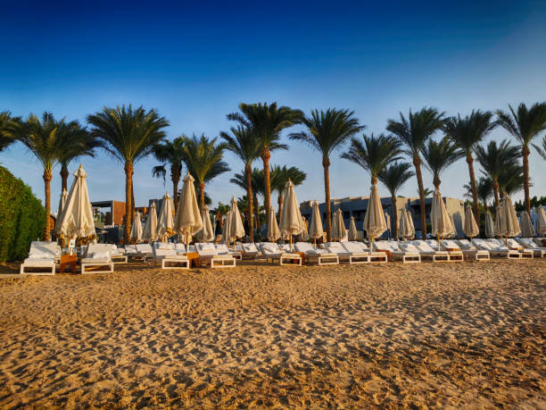istock egypt beach in makadi bay 2153917230