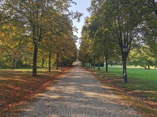 istock road in the old park 2153917243