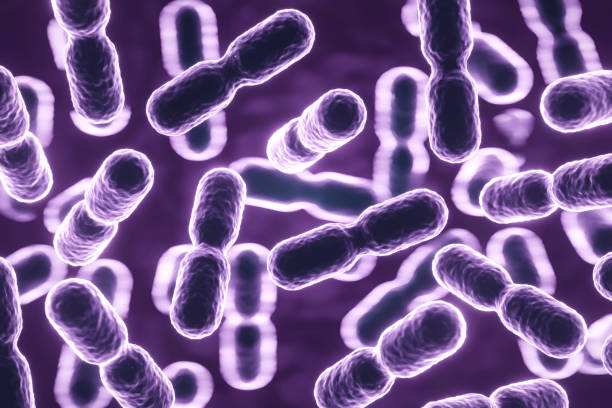 Probiotics Lactobacillus acidophilus. Human microbiome background. 3d-rendering