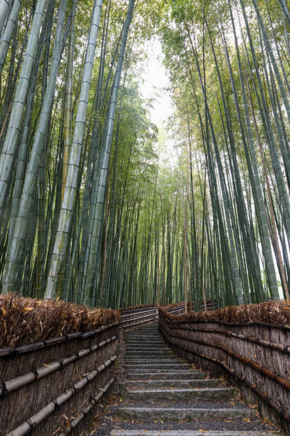 istock Arashiyama area in Kyoto, Japan 2153918227