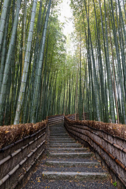 istock Arashiyama area in Kyoto, Japan 2153918351