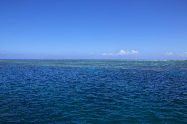 istock Sea on Great Barrier Reef, Australia 2153920148