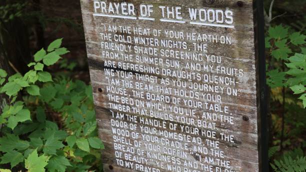 istock Prayer of the Woods 2153922019