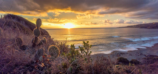 istock Tranquil Coastal Journey through Rancho Palos Verdes 2153926974
