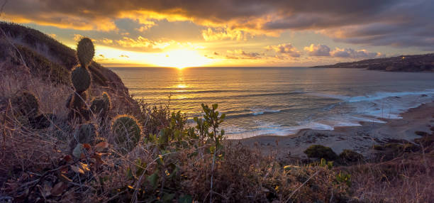 istock Tranquil Coastal Journey through Rancho Palos Verdes 2153926978