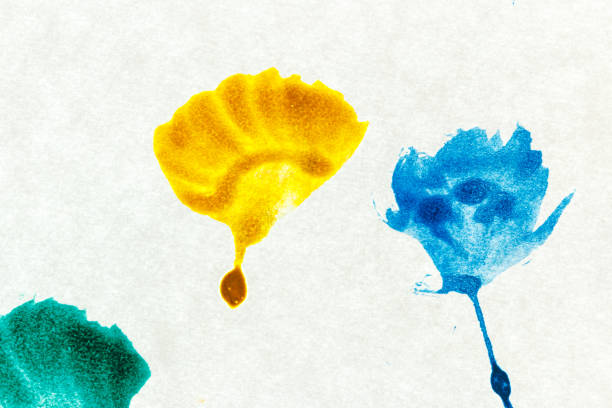Abstract watercolor splash on white paper background ,colorful painting  with hand drawn