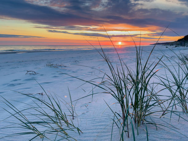 istock sunrise over the baltic sea with Dune grass and sand beach 2153932617