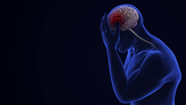 istock Human Brain Hemorrhagic Disease Patients 2153932757