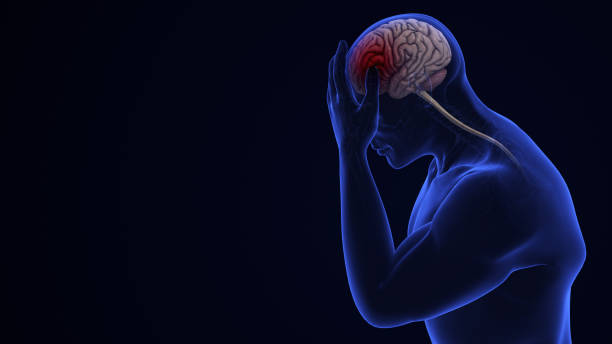 istock Human Brain Hemorrhagic Disease Patients 2153932759