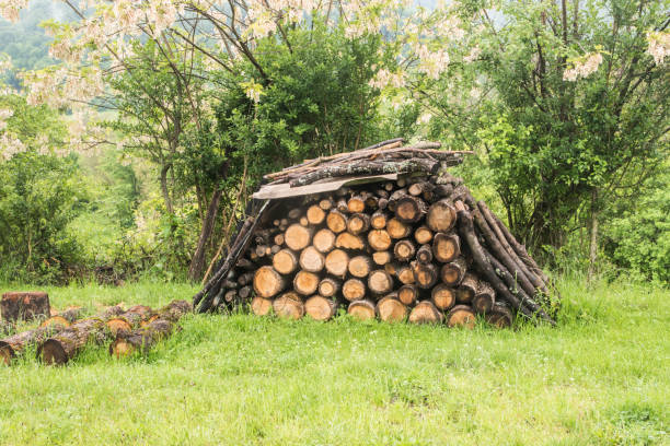 Pile of stacked firewood in rural farm meadow in spring time