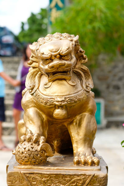 istock the golden lion statue in temple with dramatic tone 2153934846