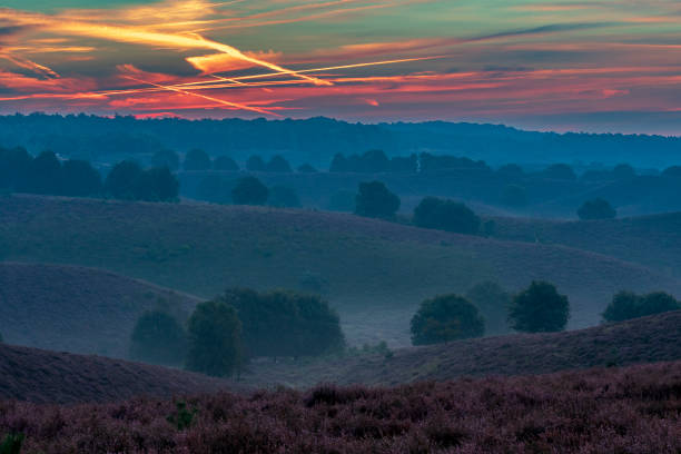 istock Sunrise over blossoming Heather fields on the hills 2153943201