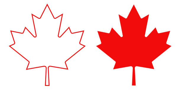 Outline and silhouette of a red maple leaf, isolated on a transparent background. Original red maple leaf from the Canadian flag. Vector illustration Outline and silhouette of a red maple leaf, isolated on a transparent background. Original red maple leaf from the Canadian flag. Vector illustration. canada-flag-line stock illustrations