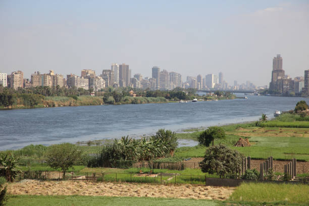 istock the nile, water, plants and buildings 2153950651