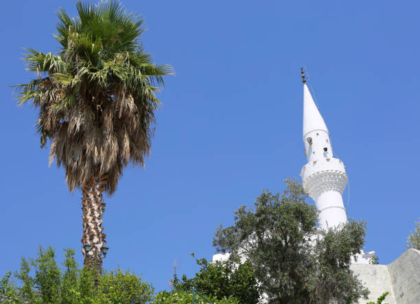 istock Palm Tree and White Mosque with Blue Sky  in Kalkan, Turkey 2153950753