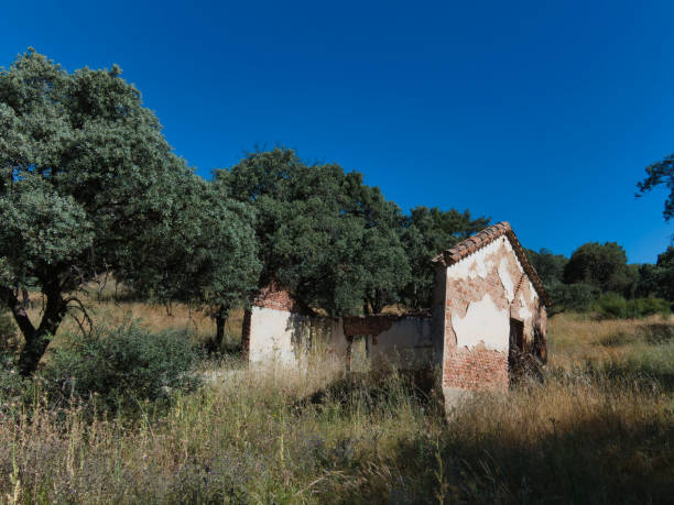 istock ruins, cottage, brick, architecture, building, destroyed, old, trees, grass, walls, 2153953931