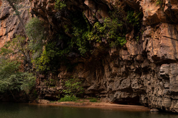 istock Filtering water though cliff face from the lake above. 2153966224