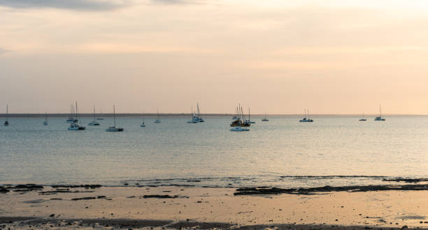 Many boats mored by the beach for Northern Territory Day celebrations.