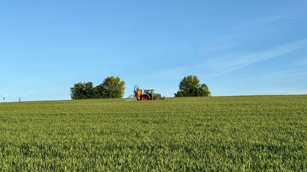 istock Agriculture, tractor sprays the field in April 2153967896
