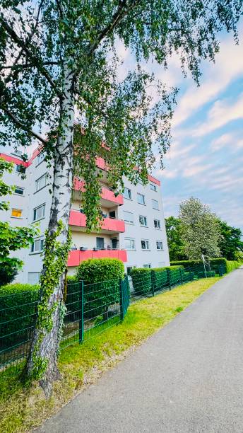 istock Birch tree at the residential tower 2153967943