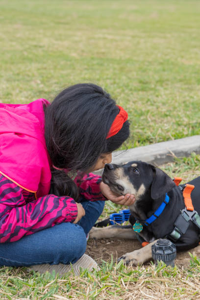 istock A young girl is petting a dog 2153968468