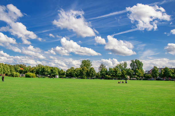 istock beautiful summer view in the park, Ingolstadt 2153969030