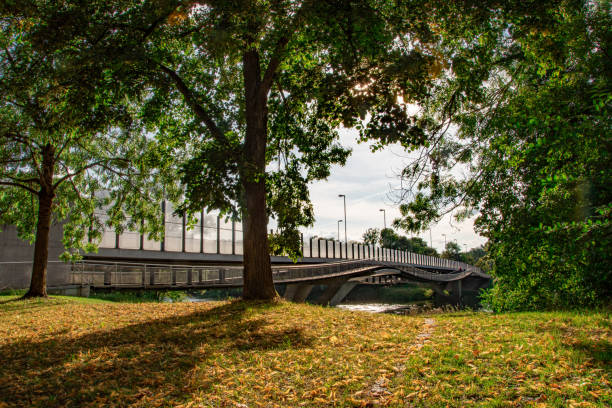 istock beautiful summer view in the park, Ingolstadt 2153969681