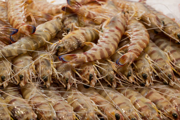 istock fish market with many different fresh fishes 2153971140
