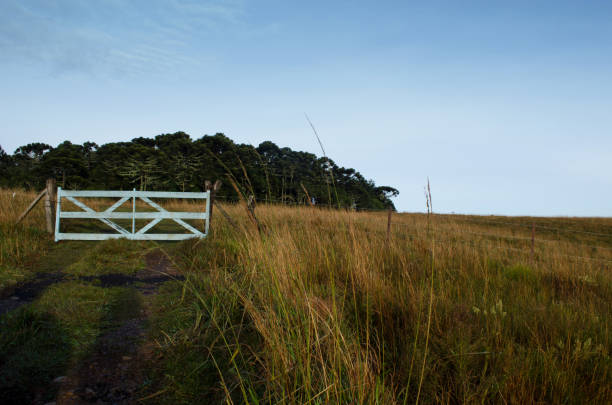 Wooden gate leading to a field in autumn