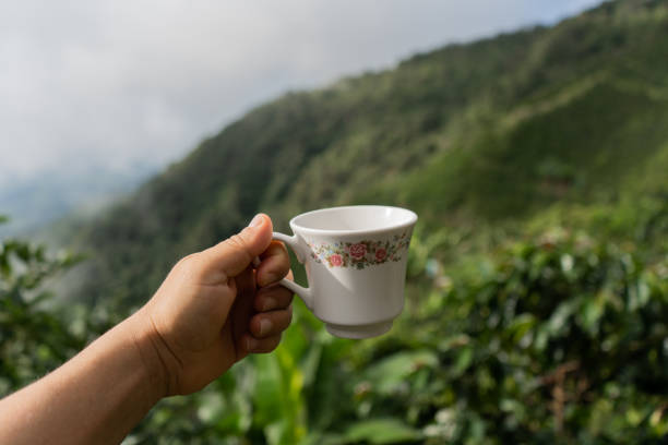 istock hand of a person holding a coffee cup 2153972269