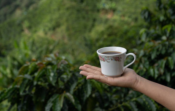 istock hand of a person holding a mug 2153972776