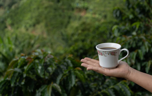 istock hand of a person holding a cup 2153972797