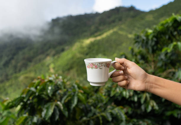 istock hand of a person holding a coffee cup 2153972882