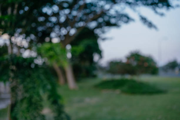 Defocused bokeh background of garden.