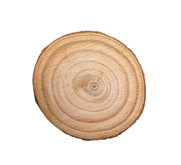 istock round wood textured background for decoration isolated on white 2153974560