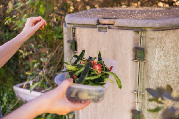 istock Bio food waste belongs in the compost bin 2153975013