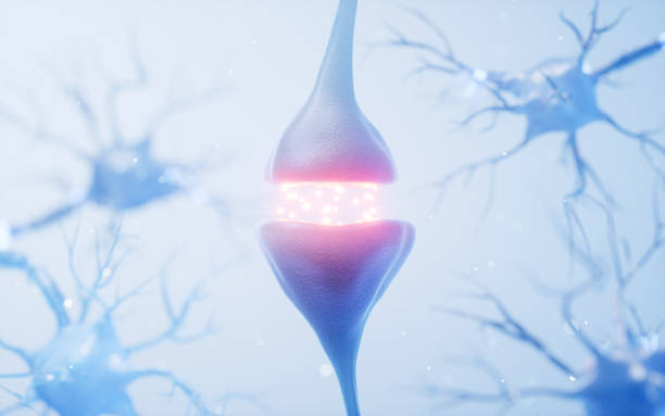 istock Biology nerve cell with biomedicine concept, 3d rendering. 2153976476
