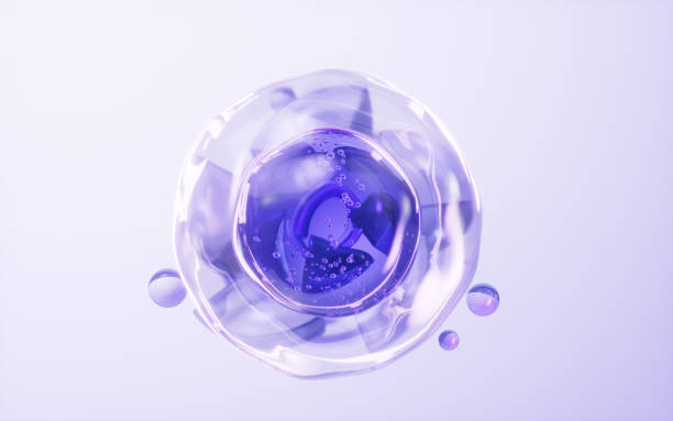 Biology cell with purple glass background, 3d rendering.
