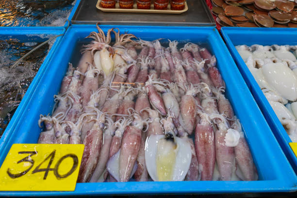Many squid are sold in seafood stands.