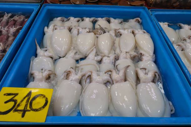 Many squid shells are sold in seafood stands.