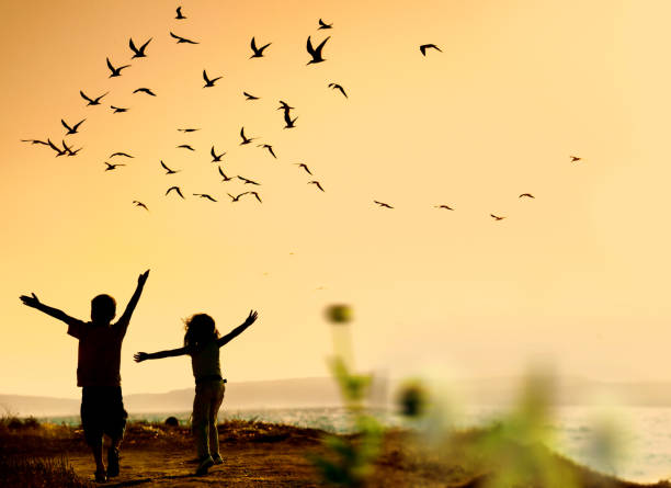 istock Children running after flock of birds during sunset 2153985385