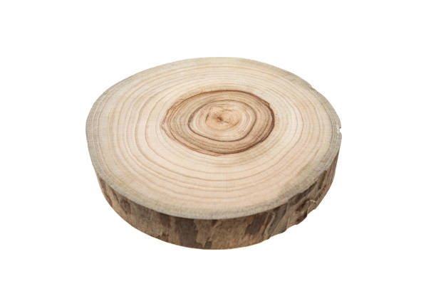 istock round wood textured background for decoration isolated on white 2153989006